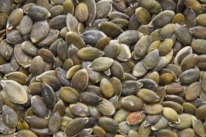 9538-close-up-of-raw-pumpkin-seeds-pv